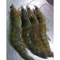 Goloda Prawn