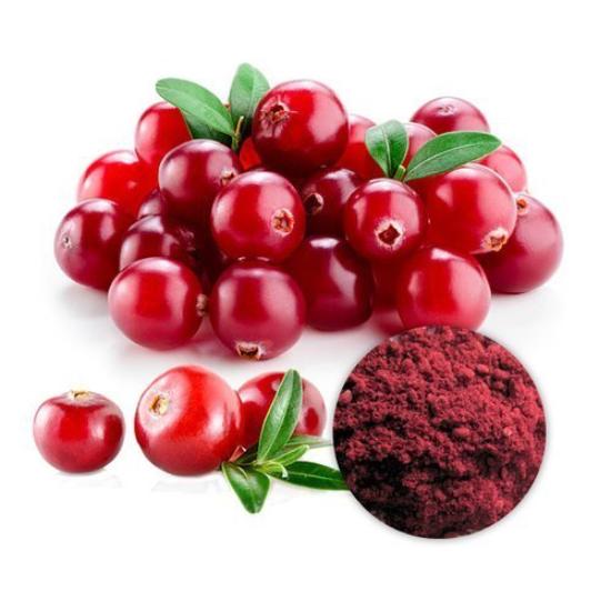 Cranberry Extract - Grade: Pharma & Food Grade