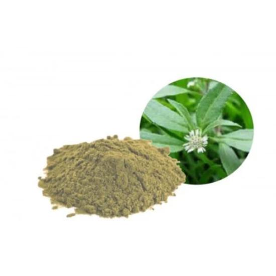 Bhringraj Liquid Extract - Premium Asteraceae Plant Essence For Hair Growth And Skin Radiance | Prevents Hair Fall, Enhances Complexion, Treats Skin Disorders