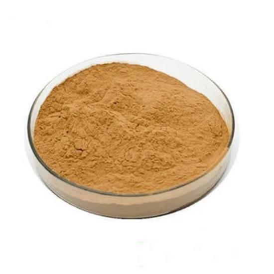 Solanum lasiocarpum Extract (Nightshade) 