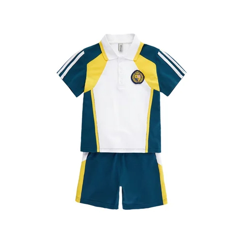 Boys School Uniform T-Shirt - Age Group: All