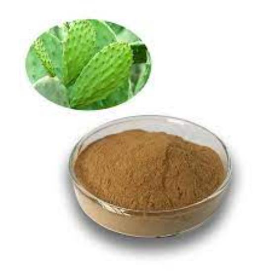 Cactus Flower Extract - Grade: Pharma & Food Grade