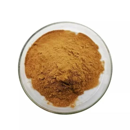 Dog Rose Extract (Rose Canina)