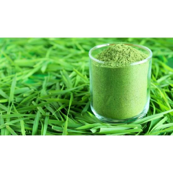 Wheat grass Powder( Triticum Vulgare Extract )