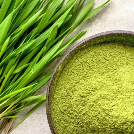 Wheat grass Powder( Triticum Vulgare Extract )