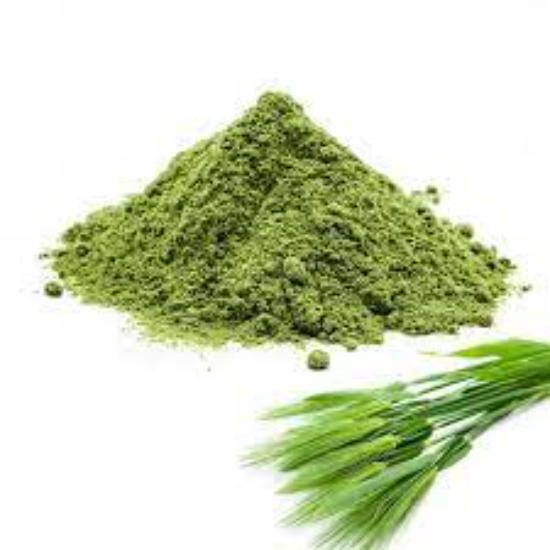 Barley Grass Powder - Grade: Pharma & Food Grade