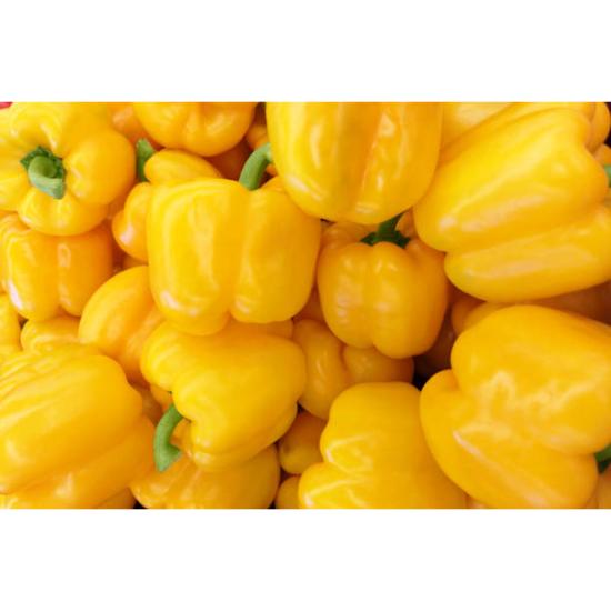 Yellow Capsicum powder