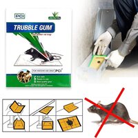 PCI Cardboard Troublegum sSmall Size Mouse Trap