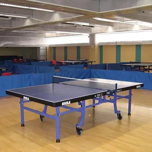 Table Tennis Flooring - Color: Brown