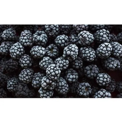 Frozen Imported Blackberry - Common Cultivation, Black Color | Frozen Style, 1 Year Shelf Life