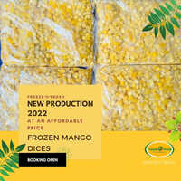 Frozen Mango Dices