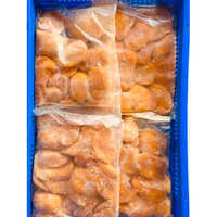 Frozen Mango Slices