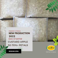 Frozen Custard Apple Pulp - 1kg Food Grade Organic Frozen Pulp | 1 Year Shelf Life, Sourced From India, Naturally Delicious