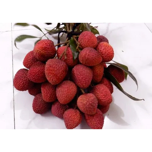 Litchi Pulp Frozen - Cultivation Type: Common