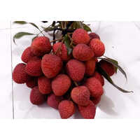Litchi Pulp Frozen
