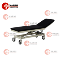 Hospital Use Electric Examination Table - Color: White & Blue (customizable)