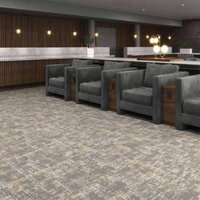 Nylon Printed Wall To Wall Carpets - 1500 Gsm Thickness, Rectangle Shape | Customized Colors, Washable Design, Decorative Patterns