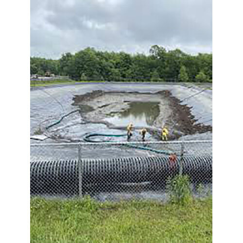 Pond Cleaning