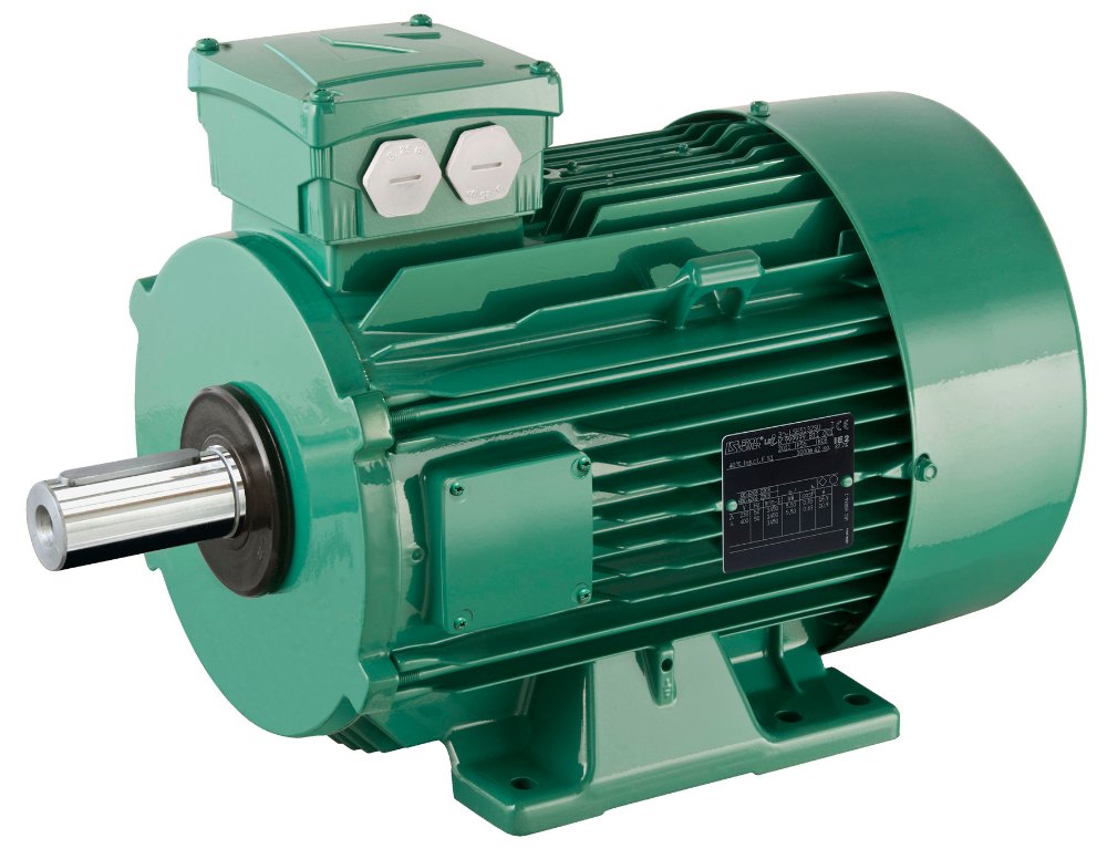 Three Phase Motors