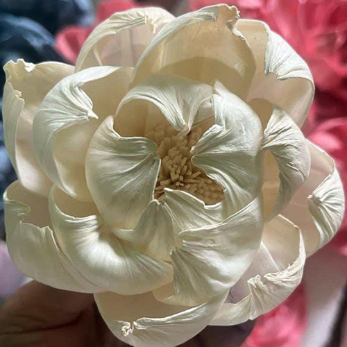 Solawood Peony Flower