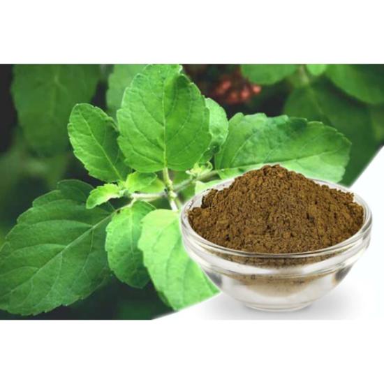 Basil Powder - Grade: Pharma & Food Grade