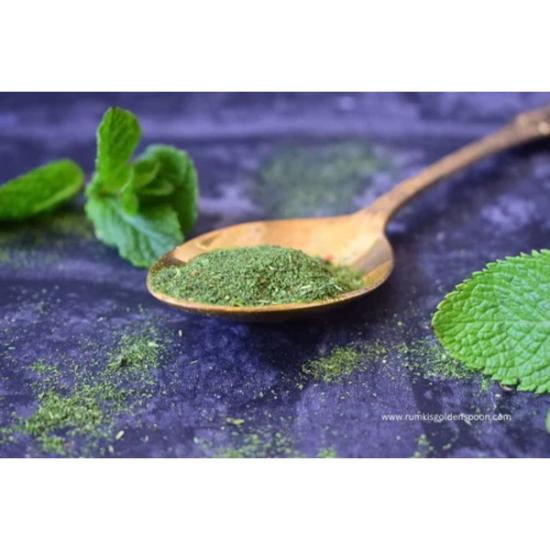 Pudina Powder