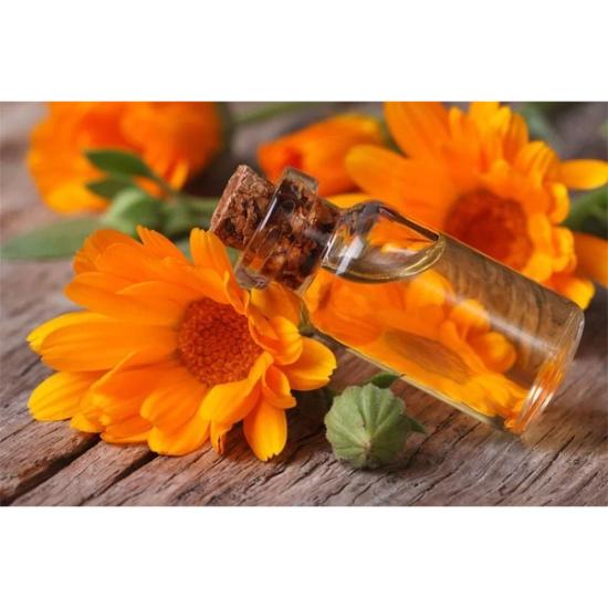 Calendula oil (Calendula officinalis)