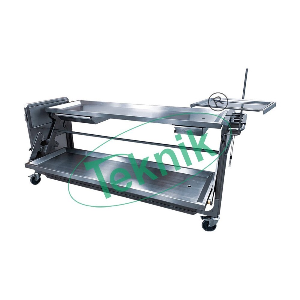 Two Body Rotating Dissection Table - Use: Medical