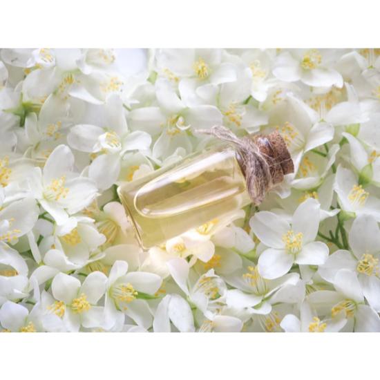 JASMINE OIL
