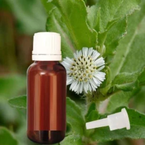 Bhrignraj Oil
