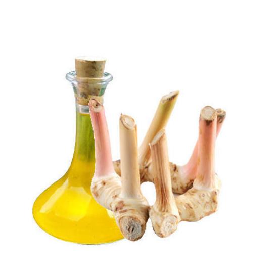 Galangal Essential Oil
