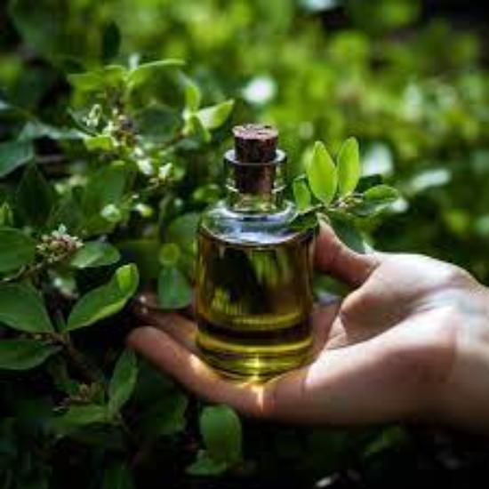 Myrtle Oil