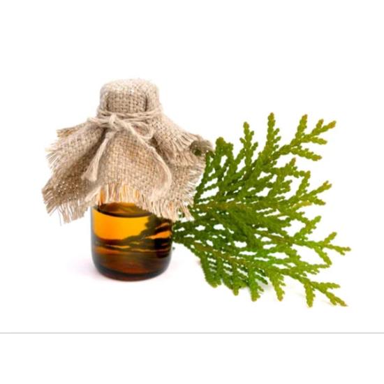 Thuja Essential Oil - Thuja Occidentalis Steam Distilled, Pale Yellow Liquid | Therapeutic Grade, Aromatherapy, Cosmetic, Medicinal Use