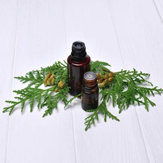 Thuja Essential Oil - Thuja Occidentalis Steam Distilled, Pale Yellow Liquid | Therapeutic Grade, Aromatherapy, Cosmetic, Medicinal Use