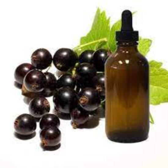 Black Currant Oil
