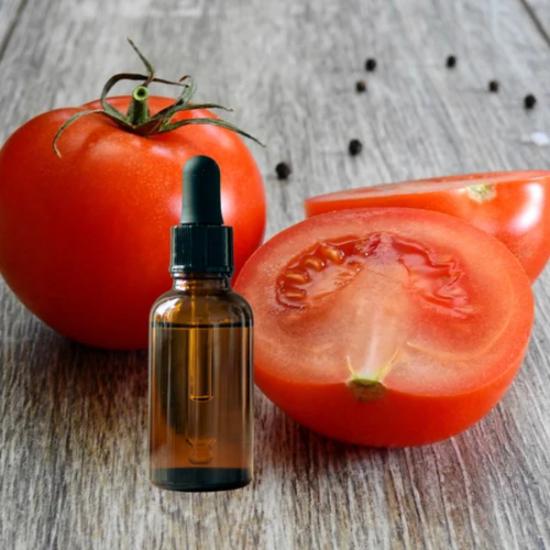Tomato Seed Carrier Oil