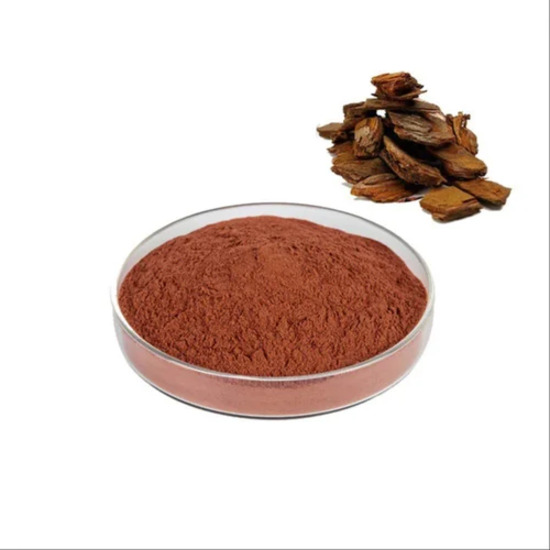 Chir Pine Extract (Pinus Roxburghii)