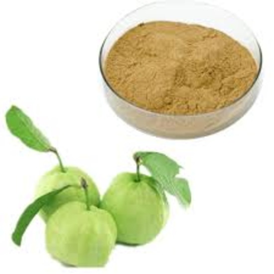 Guava Extract ( Psidium Guajava Extract )
