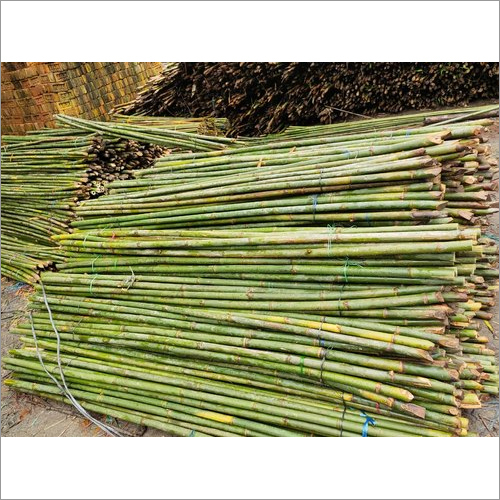 8ft Murli Bamboo Pole - High-Quality Bamboo, 8ft Size, Polished Surface Finish | Customizable, Modern Decorative Accent for Any Room