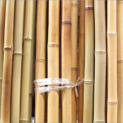 Treated Bambo Pole - Material: Bamboo