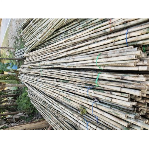 Treated Bamboo Stick - Size: 10 Ft