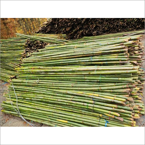 10Ft Bamboo Stick - Size: 10 Ft