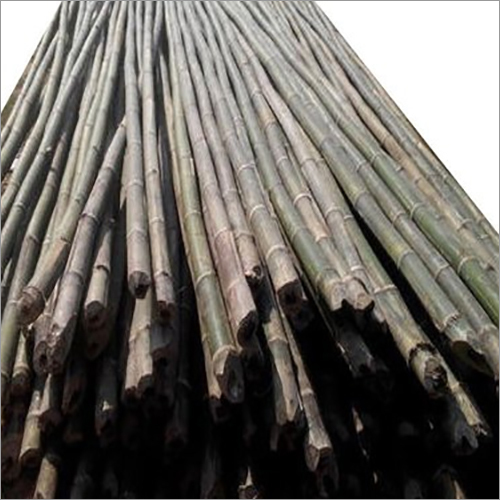 Green Natural Bamboo Stick - Size: Various Available