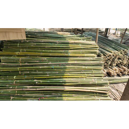 All Kinds Of Bamboo Sticks For Plantation - High-Quality Bamboo, Various Sizes Available, Polished Finish - Customizable for Decorative Use