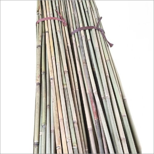 24ft Bamboo Cane