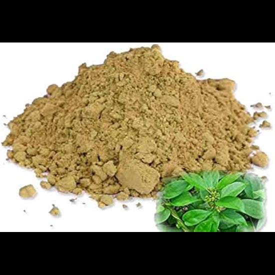 Gymnema Extract ( Gymnema sylvestre Extract )  