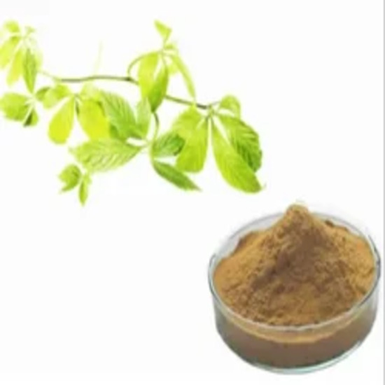 Gynostemma Extract ( Gynostemma pentaphyllum Extract )
