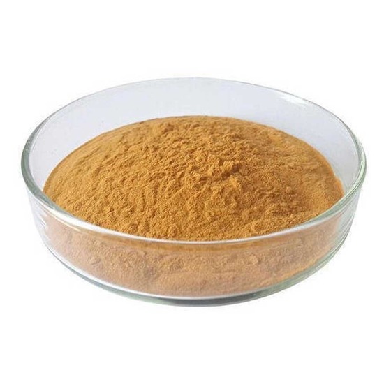 Hoodia Gordonii Extract