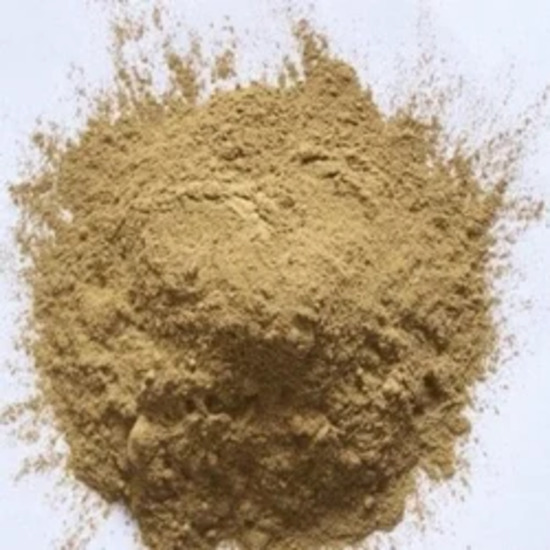Hoodia Gordonii Extract