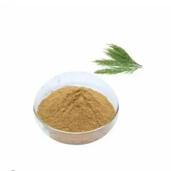 Horsetail Extract ( Equisetum Arvense Extract ) - Purity(%): 100%